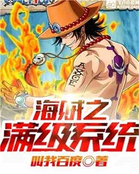 One Piece Full Level System