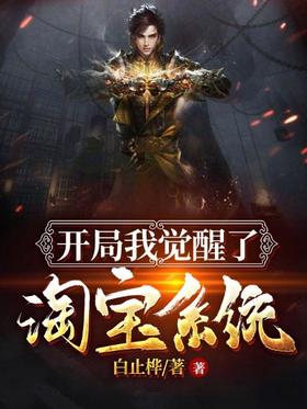 At the beginning, I awakened the Taobao system
